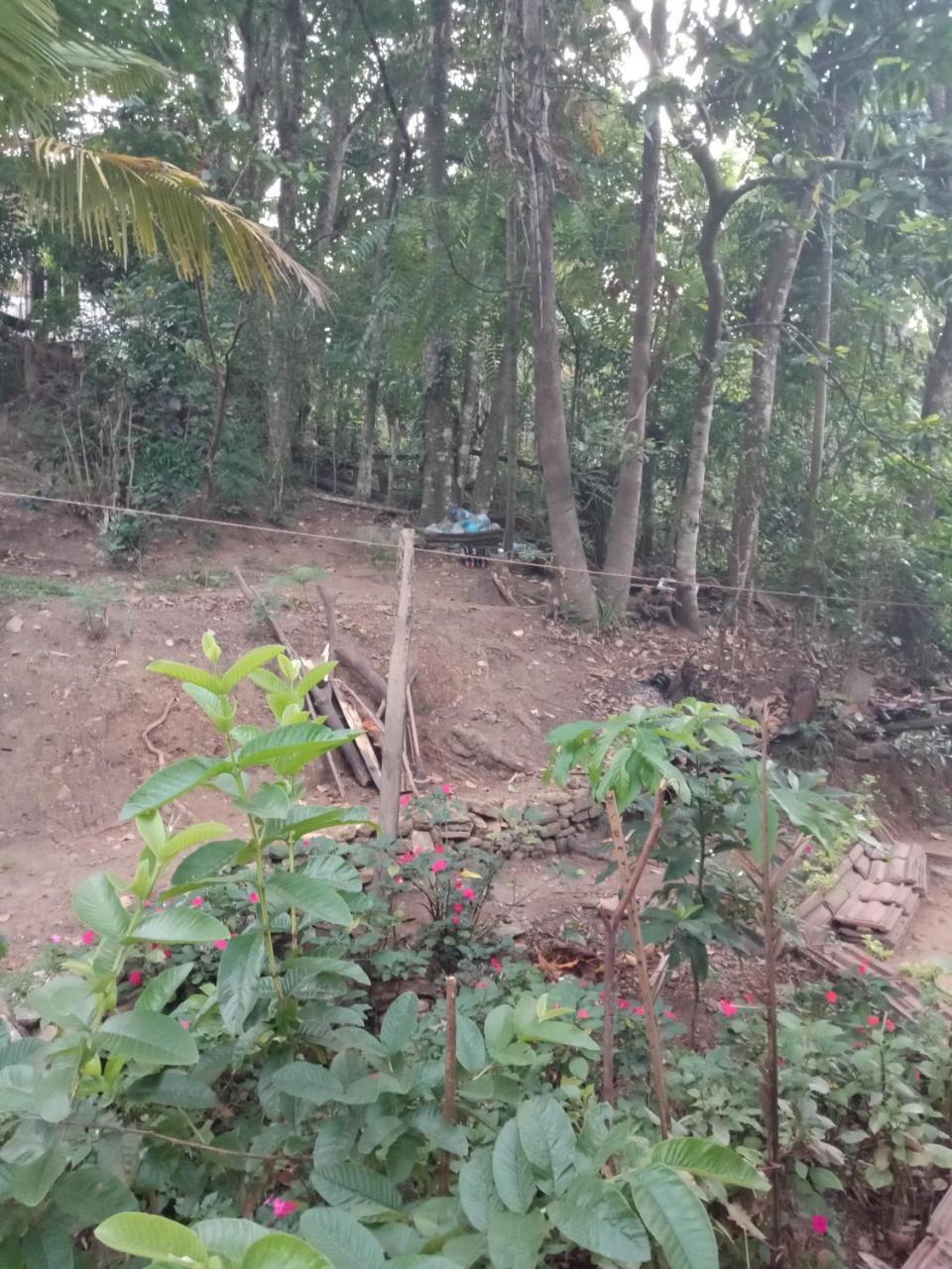 Damsen Homestay Ella Exterior foto