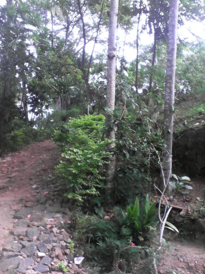 Damsen Homestay Ella Exterior foto