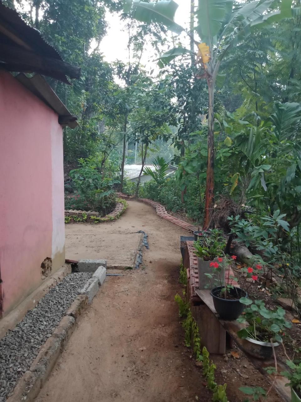 Damsen Homestay Ella Exterior foto