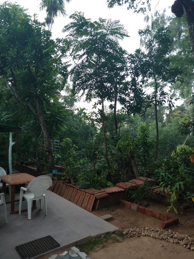 Damsen Homestay Ella Exterior foto