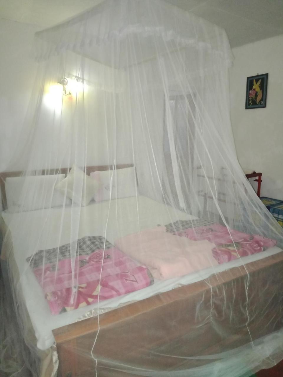 Damsen Homestay Ella Exterior foto